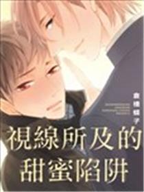 视线所及的甜蜜陷阱