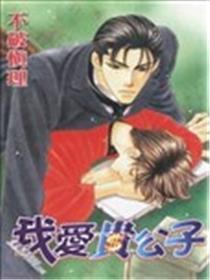 我爱贵公子
