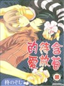 含苞待放的爱