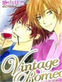 Vintage Romeo醇酒罗密欧