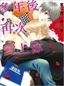 多年后再次爱上你
