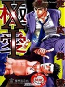 XI极爱