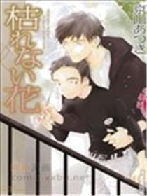 不会枯萎的花