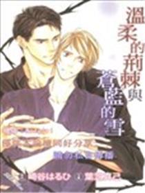 温柔的荆棘与苍蓝的雪