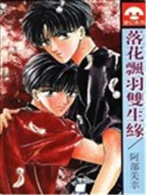 落花飘羽双生缘