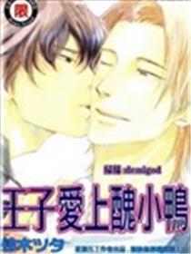 王子爱上丑小鸭