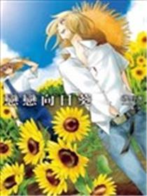 恋恋向日葵