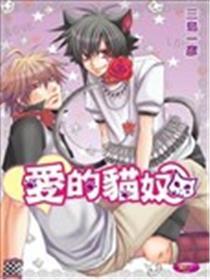 爱的猫奴