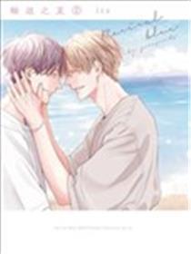 轮回之夏