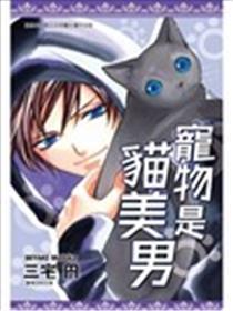 宠物是猫美男