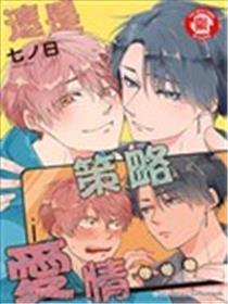 这是策略爱情…