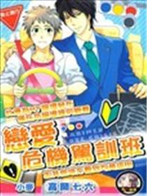 恋爱危机驾训班