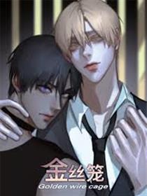 《金丝笼》