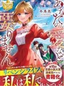 我不需要你的爱