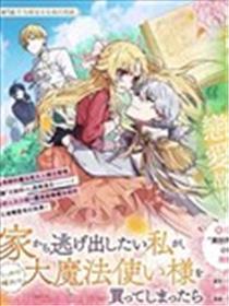 想逃离家的我、不小心买下了仰慕的大魔法使大人