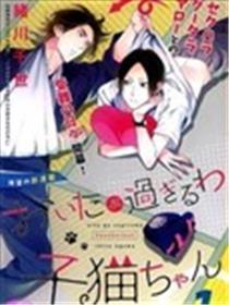 太调皮 小猫咪