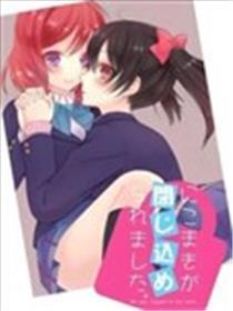 妮姬被关进了密室